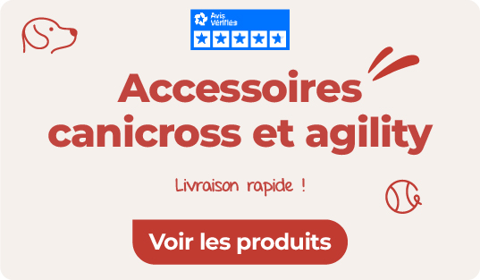 canicross ou l’agility chien