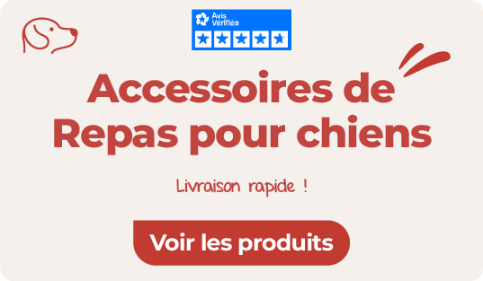 Accessoires de Repas pour chiens
