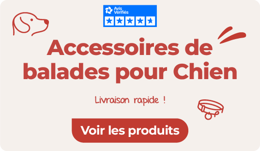 accessoires de balade pour chien sur animalerie en ligne