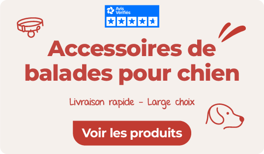 accessoires de balade pour chiens sur notre animalerie en ligne