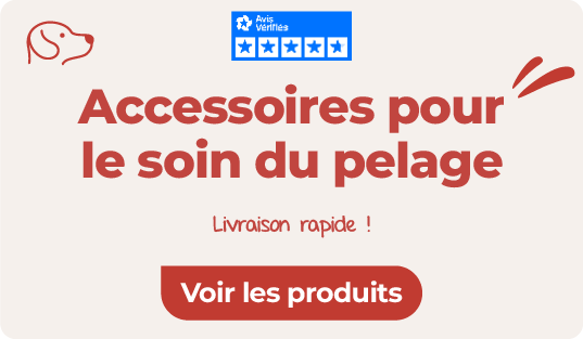 accessoires chien pour pelage