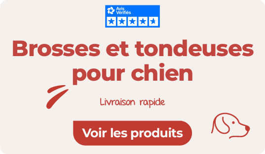 brosses et tondeuses pour chiens sur animalerie en ligne