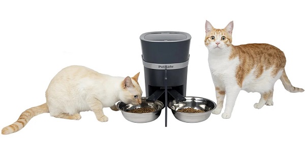 Distributeur de croquettes pour 2 chats