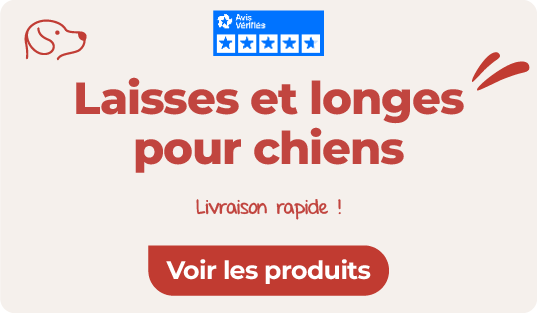 Laisses et longes pour chiens