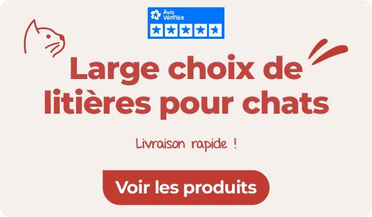 choix de litières pour chats