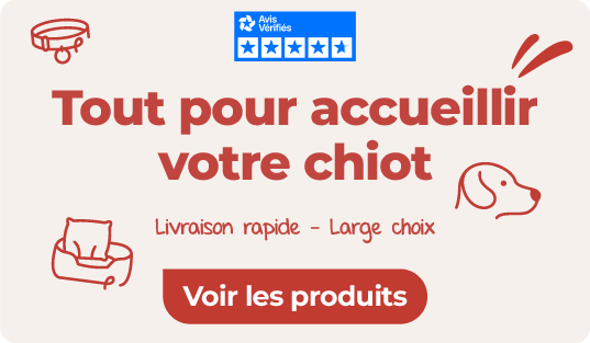 notre sélection pour accueillir votre chiot