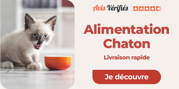 alimentation pour chatons sur l'animalerie en ligne terranimo