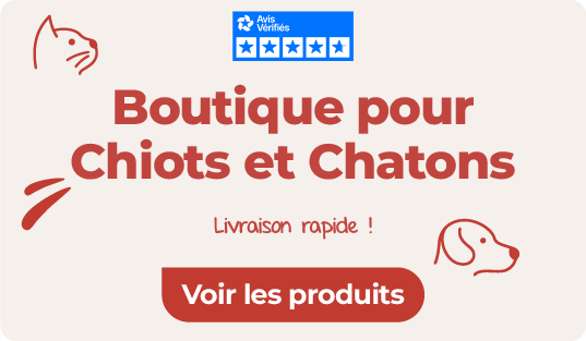 boutique chiot et chaton