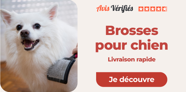 sélection de brosses et peignes pour chiens