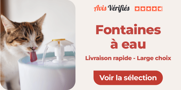 fontaines à eau pour chat sur animalerie en ligne terranimo