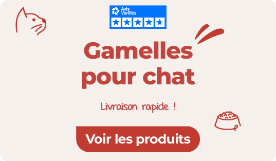 sélection de gamelles pour chat
