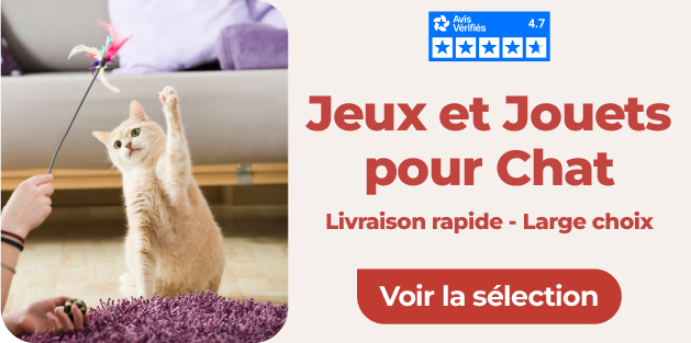 jouets pour chat