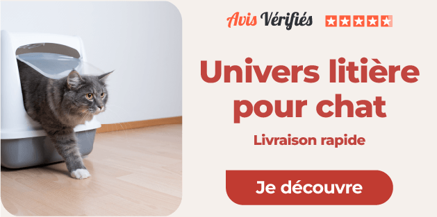 litières pour chat sur animalerie en ligne