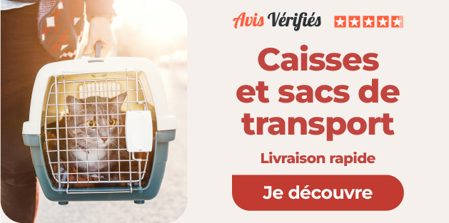 Caisses et sacs de transport pour chats