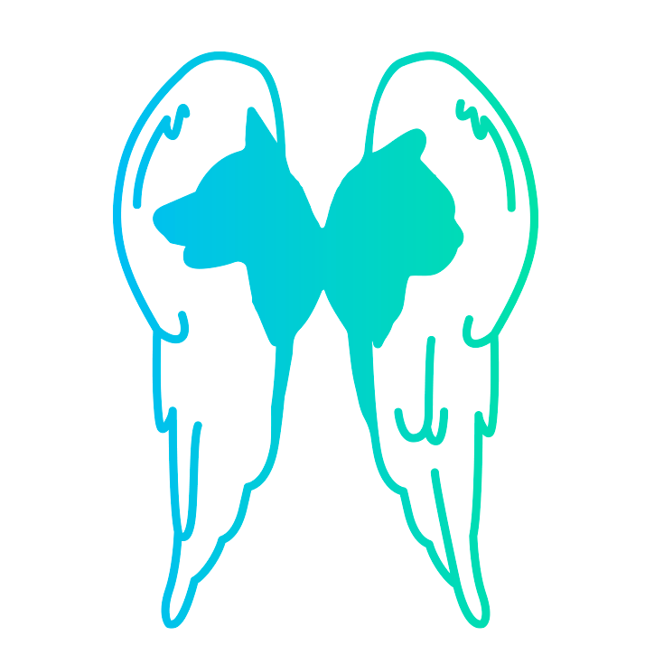 association UMA nantes  association UMA nantes