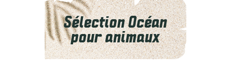 sélection océan