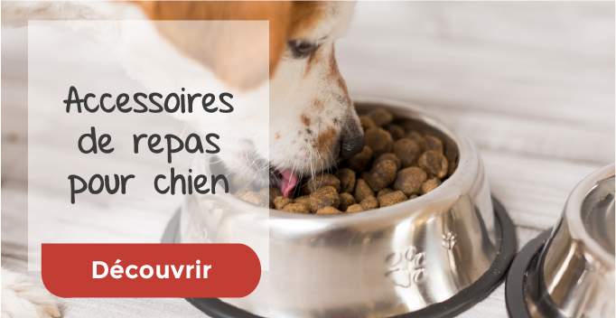 Accessoires de repas pour chien Accessoires de repas pour chien