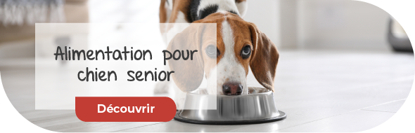 Alimentation pour chien âgé Alimentation pour chien âgé