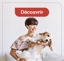 chien-friandise