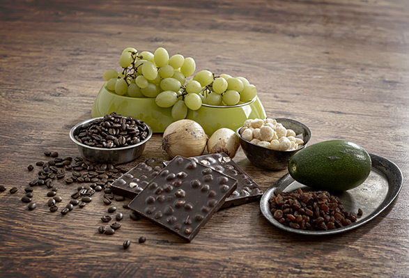 Liste des aliments que votre chien ne doit jamais manger Liste des aliments que votre chien ne doit jamais manger