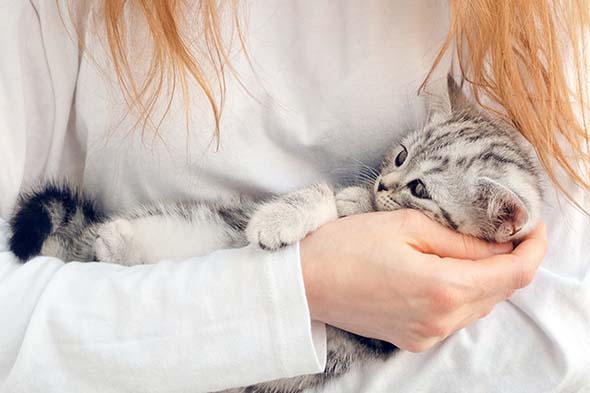 Comment Appeler Mon Chien Ou Mon Chat En T En 22