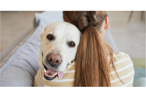 Comment s'occuper d'un chien quand on travaille ?