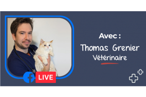 Vous A Remarque Que Votre Chien Se Frottait Le Derriere Au Sol Nous Vous Expliquons Pourquoi