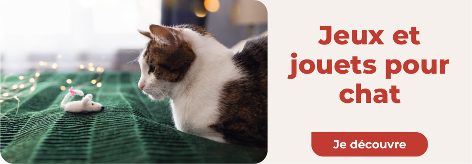 cadeau chat jouets cadeau chat jouets