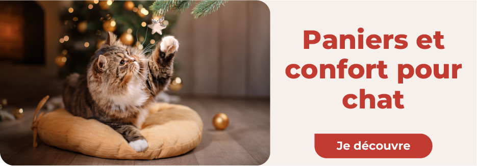 panier noel chat panier noel chat