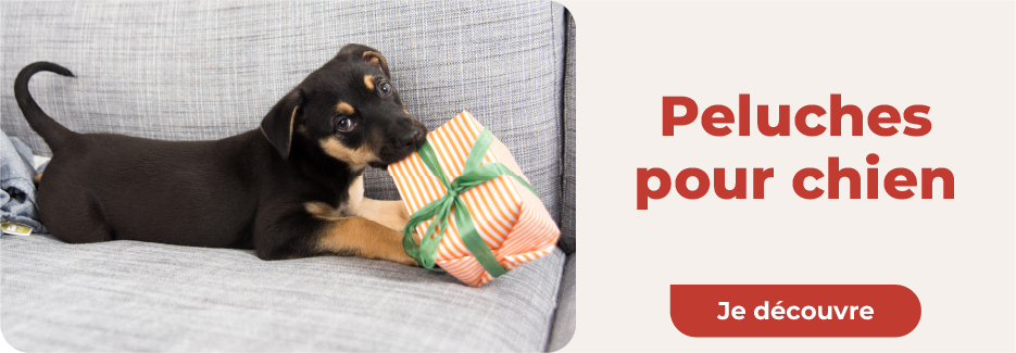 cadeau noel chien peluche cadeau noel chien peluche