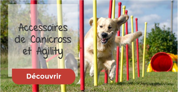Canicross et Agility Canicross et Agility