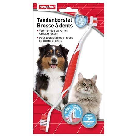 Brosse à dents haleine fraîche chien et chat BEAPHAR