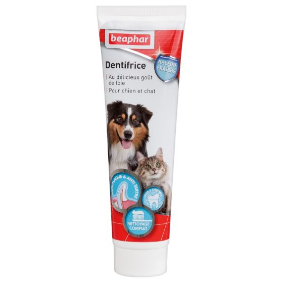 Dentifrice pour l’hygiène bucco-dentaire des chiens et chats BEAPHAR