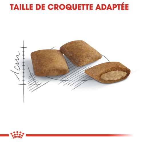 ROYAL CANIN Croquettes chat Senior Ageing 12+