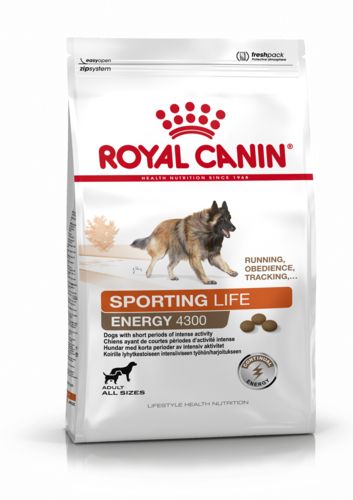 ROYAL CANIN Croquettes chien sportif Life Trail 4300