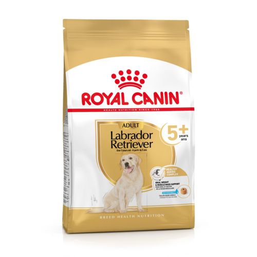 ROYAL CANIN Croquettes chien Labrador Adult 5+