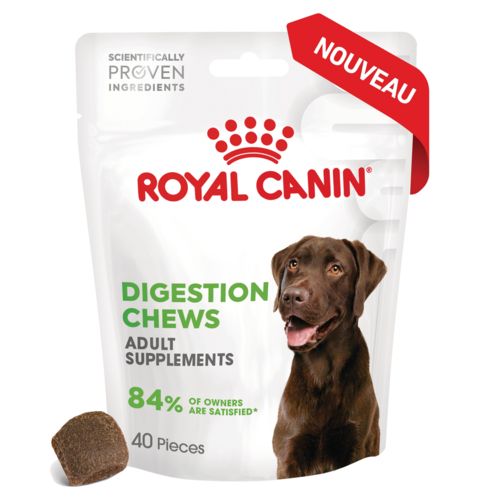 Pack de 6 sachets adult digestion supplement pour chien ROYAL CANIN 6x160g