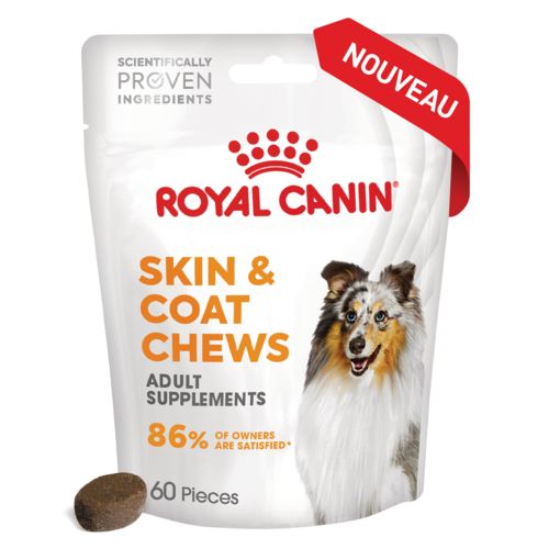 Adult skin & coat supplement pour chien ROYAL CANIN 240g