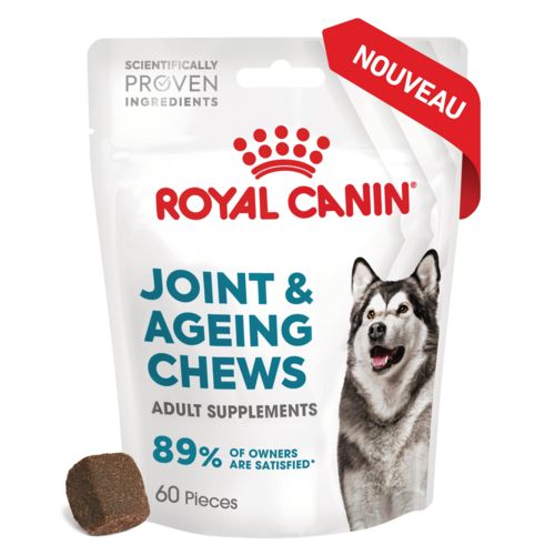 Pack de 5 sachets adult joint and ageing supplement pour chien ROYAL CANIN 5x240g