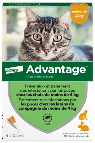 Pipettes anti puces pour les chats de -4 kilos  BAYER ADVANTAGE 40