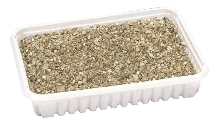 Herbe à chat à faire germer en barquette de 100 gr pour chat KERBL