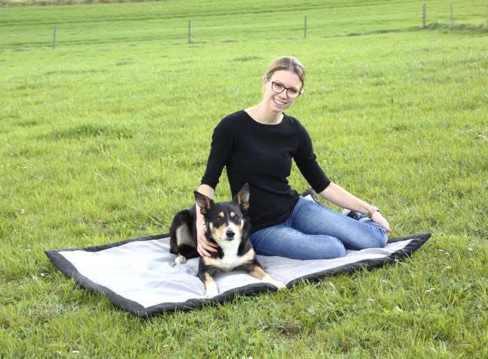 Coussin De Voyage Chien