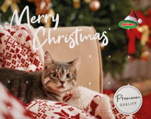 XMAS Calendrier de l'Avent avec friandises pour Chat BUBIMEX 192g