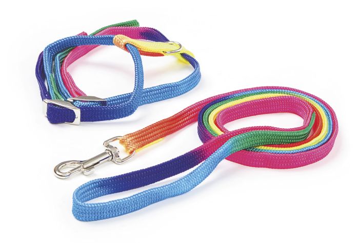 Harnais pour chat en nylon multicolore avec laisse RAINBOW KERBL