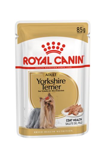 ROYAL CANIN Yorkshire Terrier.