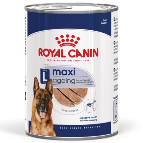 ROYAL CANIN Pâtée en mousse chien Maxi Ageing