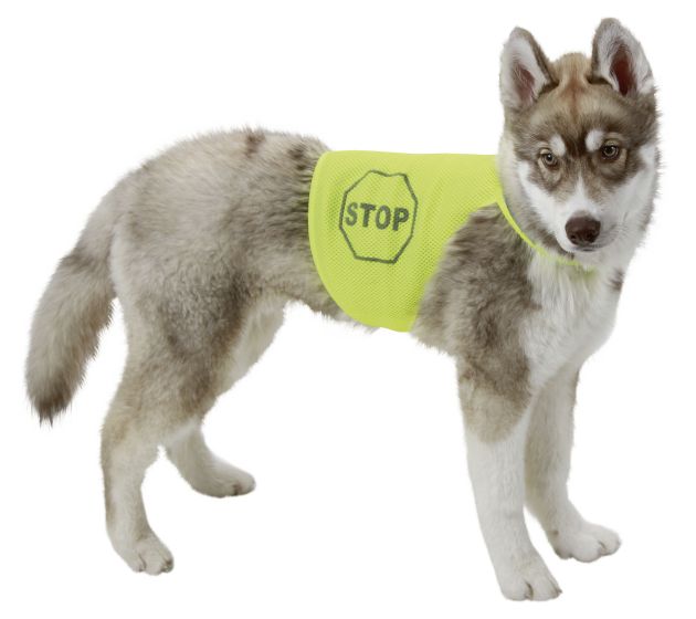 Gilet de sécurité jaune fluorescent pour chien KERBL