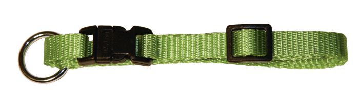 Collier pour chien en nylon coloré vert pomme  MIAMI KERBL