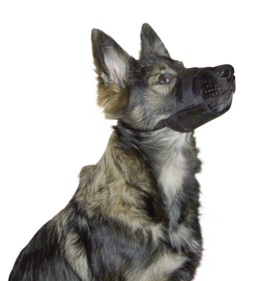 Muselière réglable en nylon résistant pour chien KERBL
