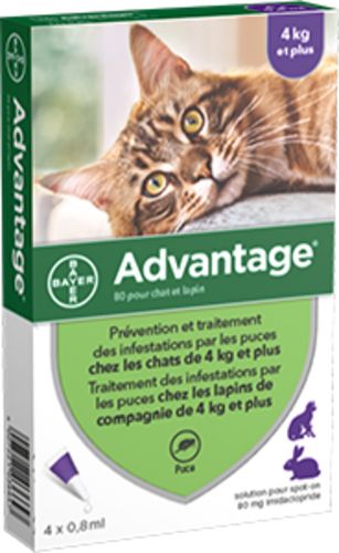 Pipettes anti puces pour les chats de +4 kilos  BAYER ADVANTAGE 80